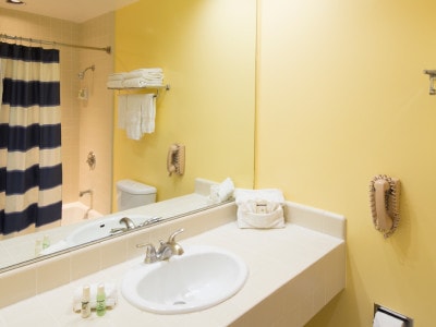 Guestroom Bathroom