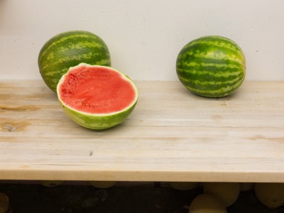 Fresh Cut Watermelon for Breakfast